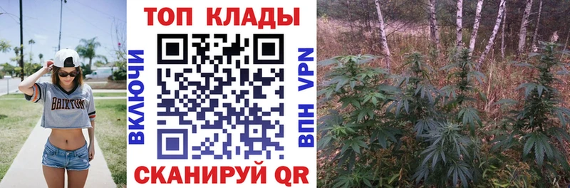 Где купить Кисловодск Конопля  Меф  МЕТАМФЕТАМИН  ГАШ  Alpha PVP 