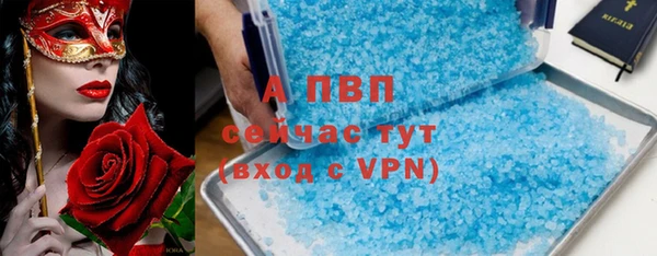 прущие грибы Володарск