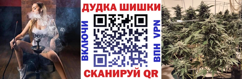 Марихуана планчик  Кисловодск 